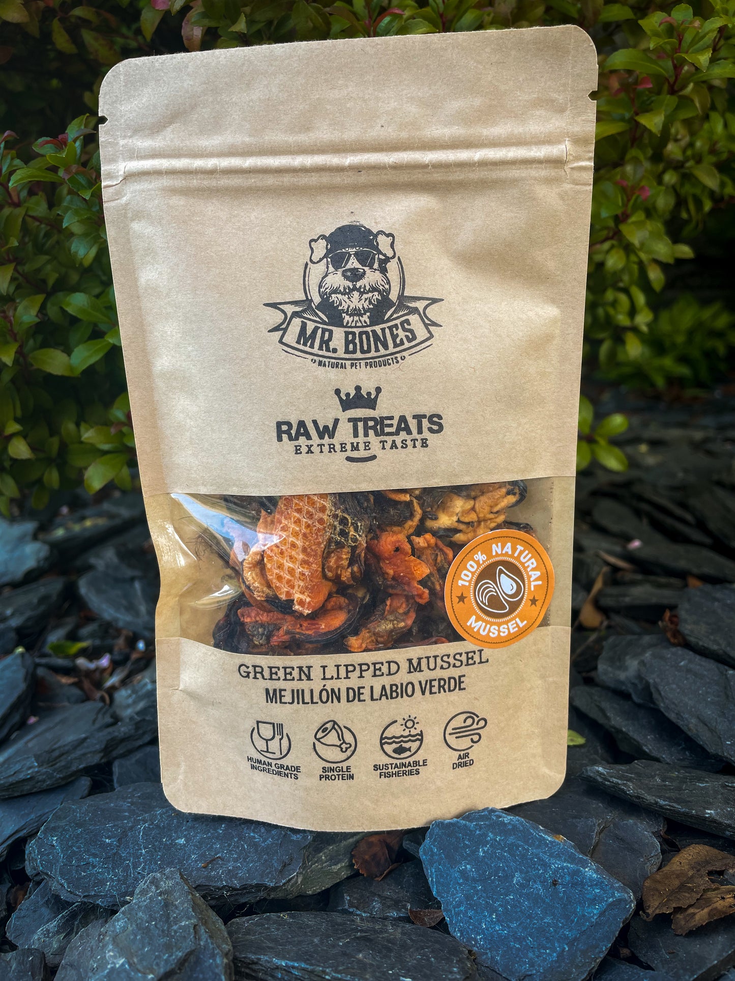 Mr Bones Raw Treats - Green Lipped Mussel