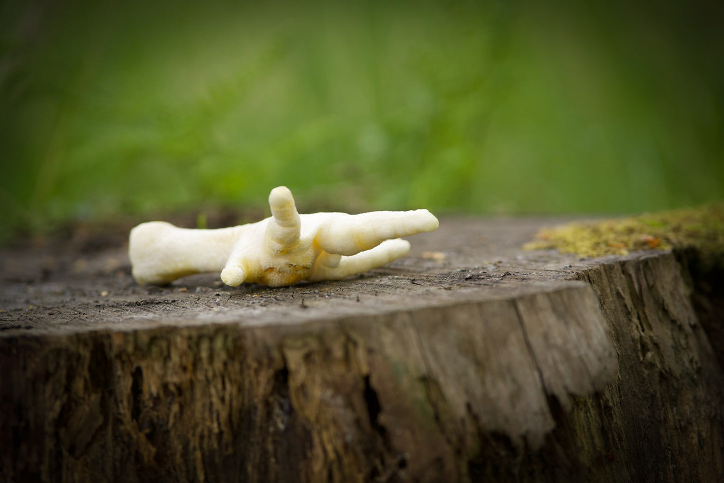 Puffed Chicken Feet