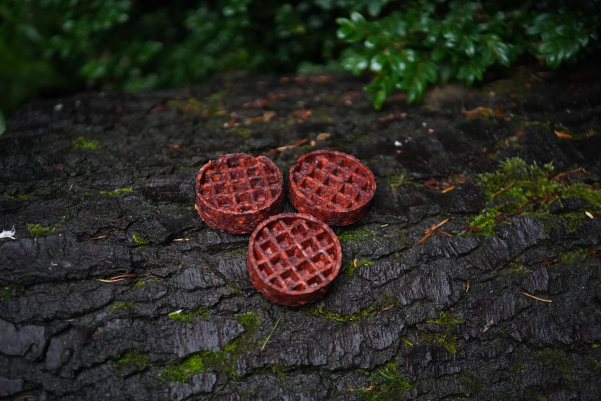 Collagen Waffles (small camel)