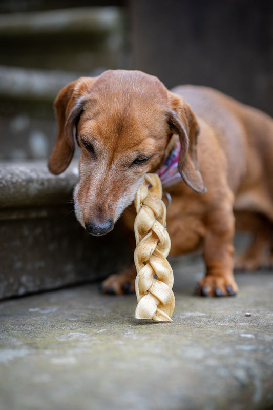 Buffalo Braid