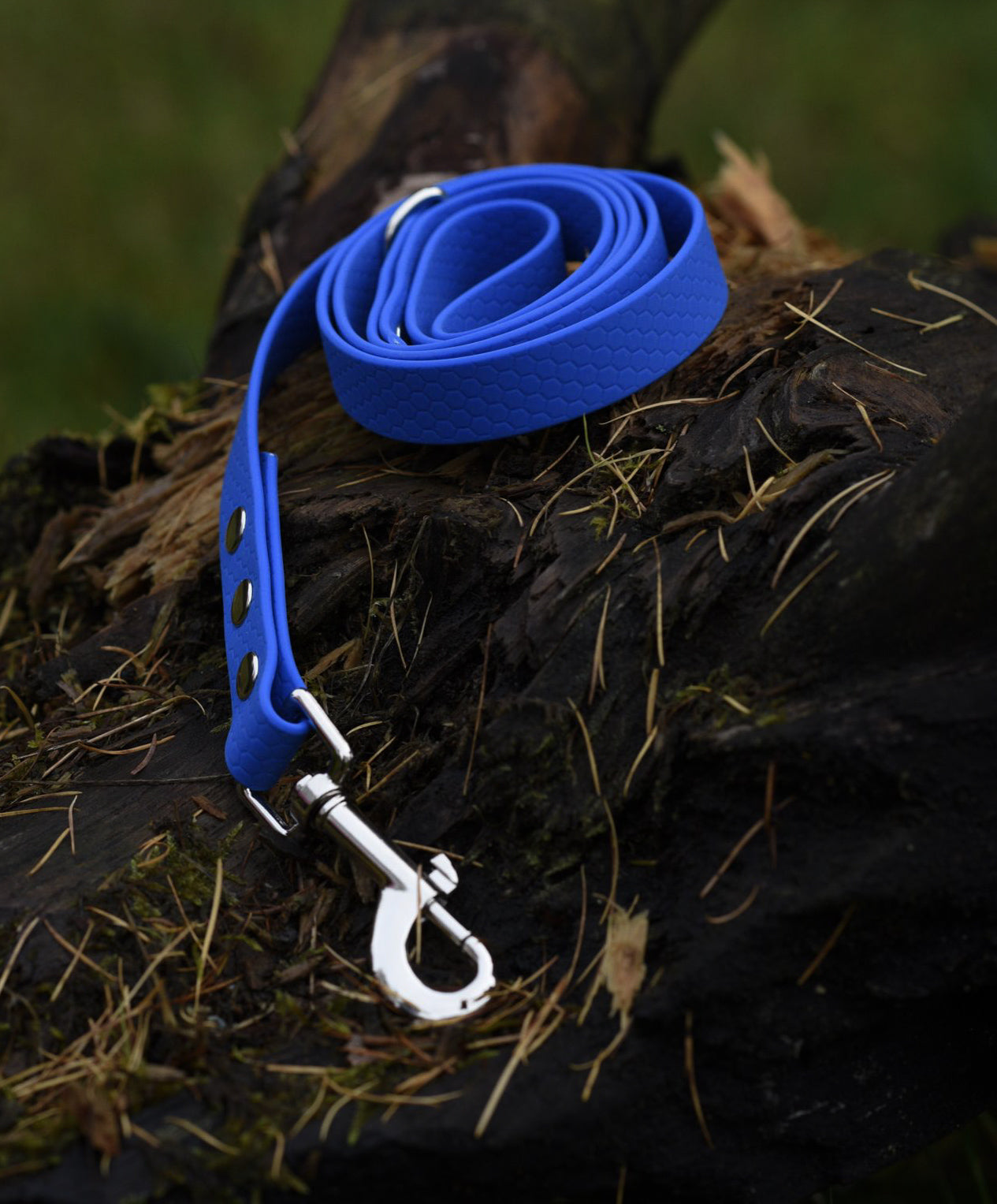 Hexa Webbing Training Lines