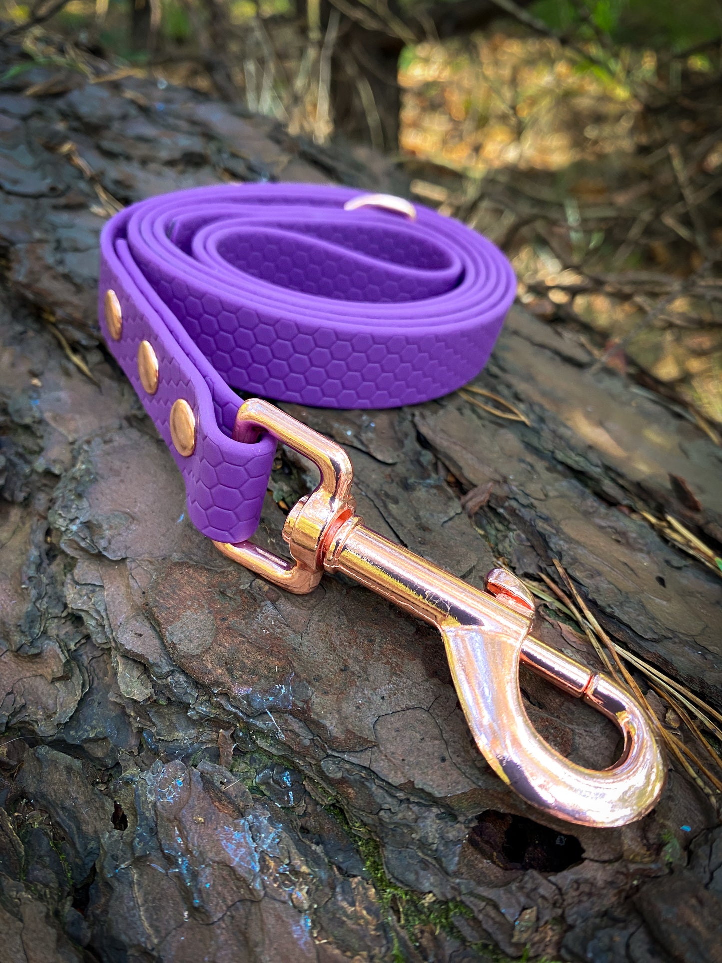 Hexa Webbing Training Lines