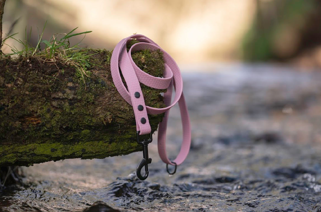 Hexa Webbing Leads