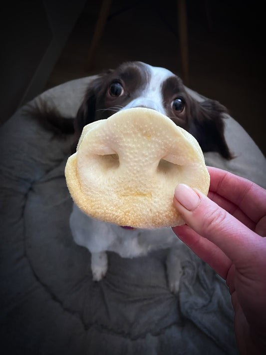 Puffed Pig Snouts