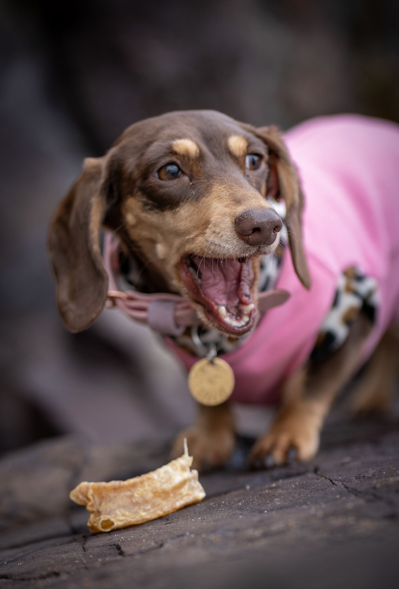 NAW! Lamb Trachea
