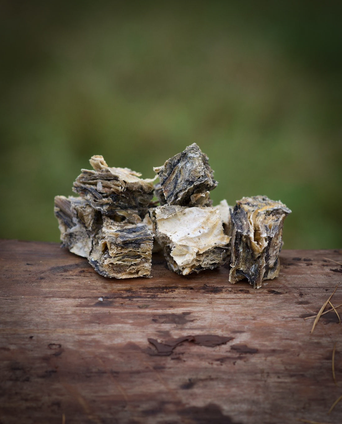 Fish Skin Cubes