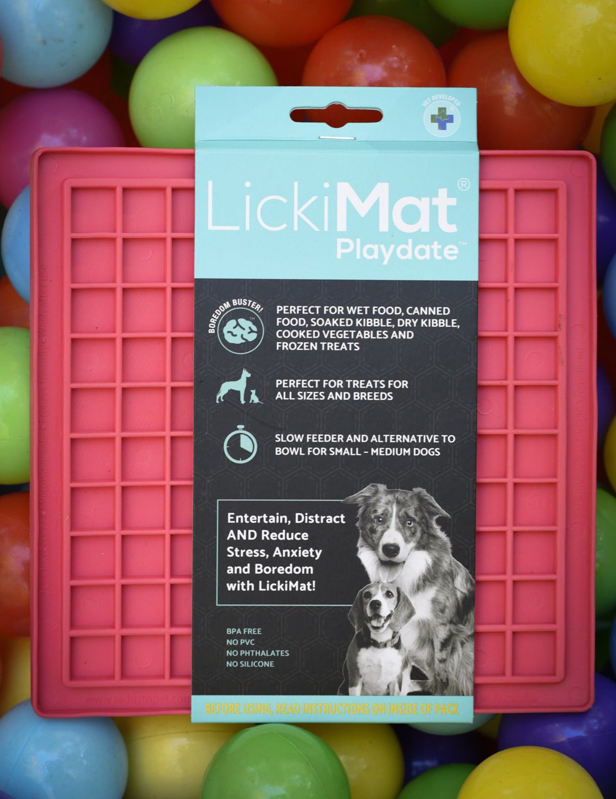 LickiMat Playdate