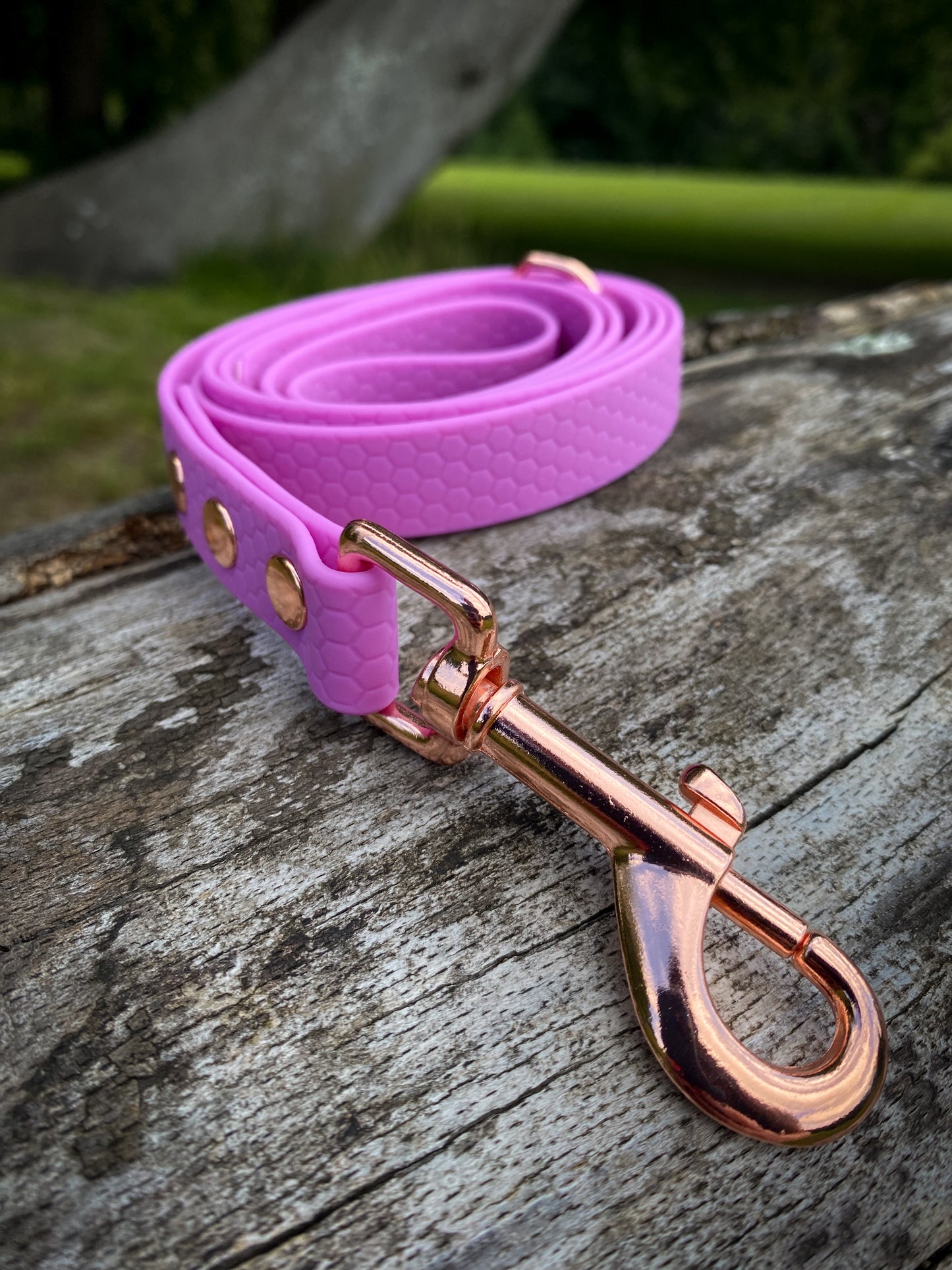 Hexa Webbing Training Lines