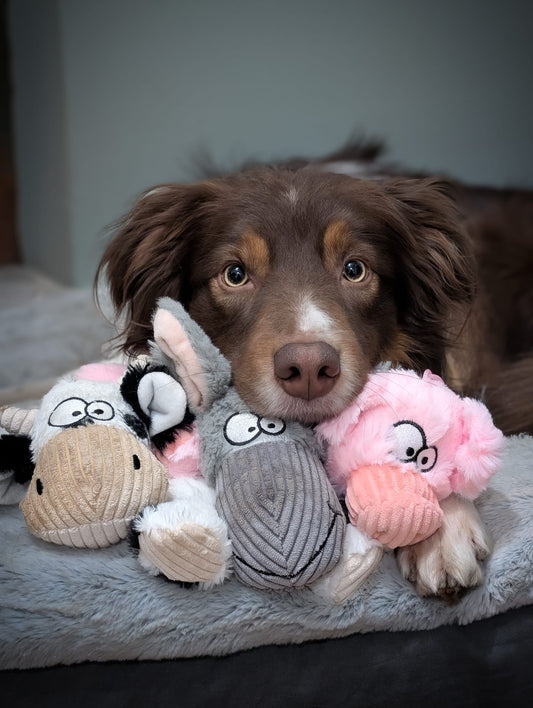 Barnyard Squeaky Toy