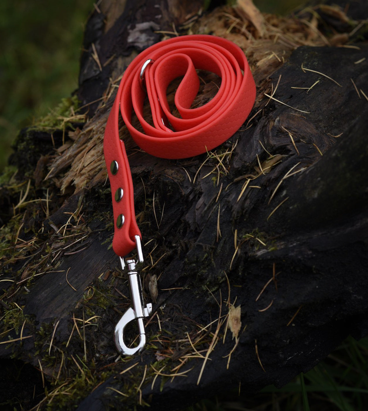 Hexa Webbing Training Lines
