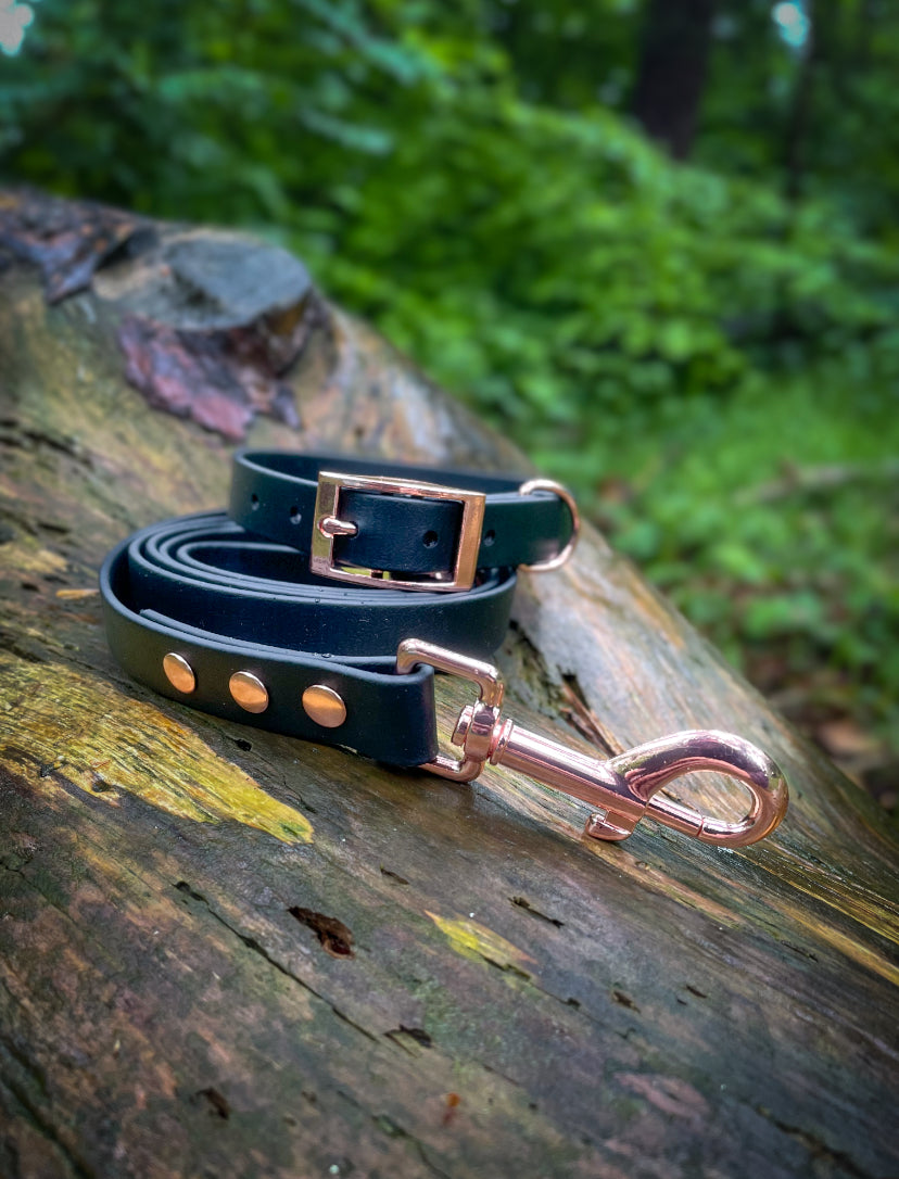 PVC Collar and Lead Set