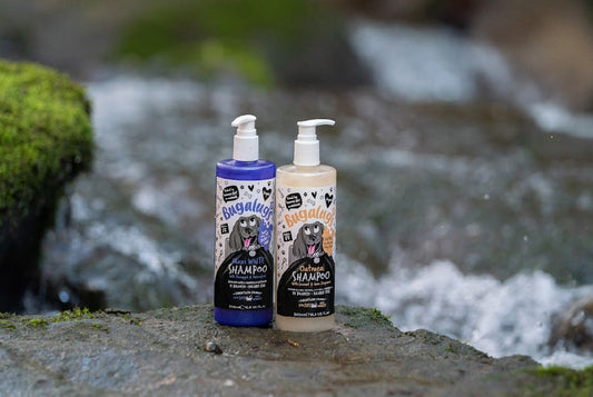 Bugalugs Shampoo