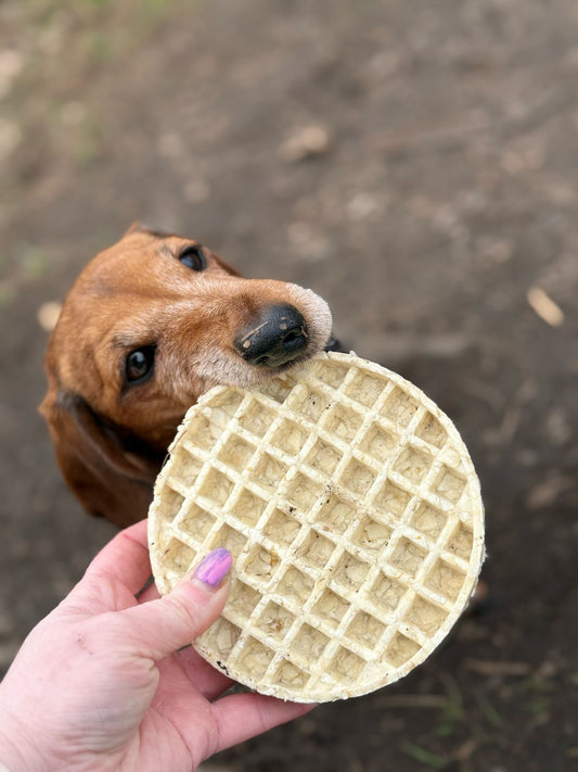 Collagen Waffles (large)