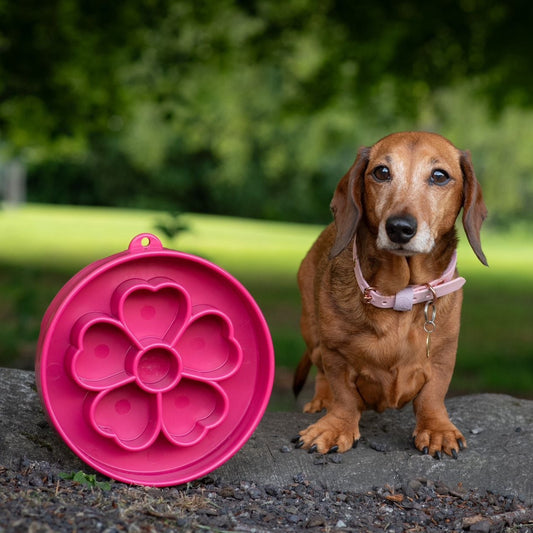 SodaPup Flower Slow Feeder Bowls