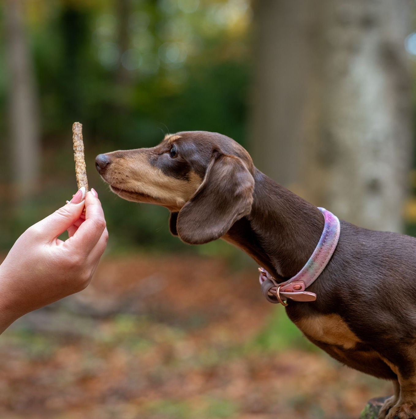 Mini Jerky Sticks