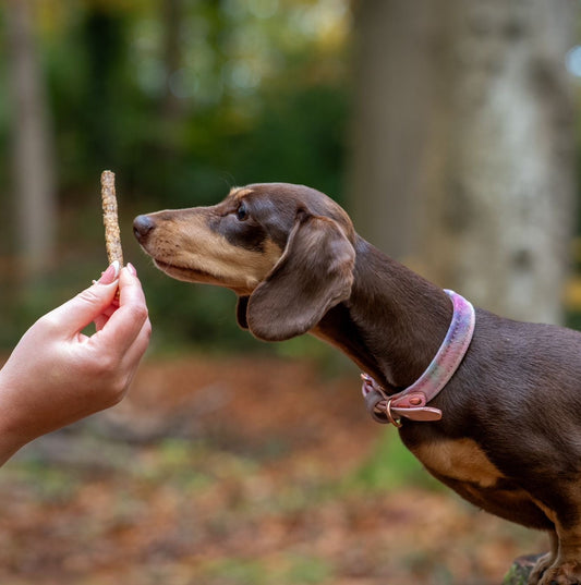Mini Jerky Sticks