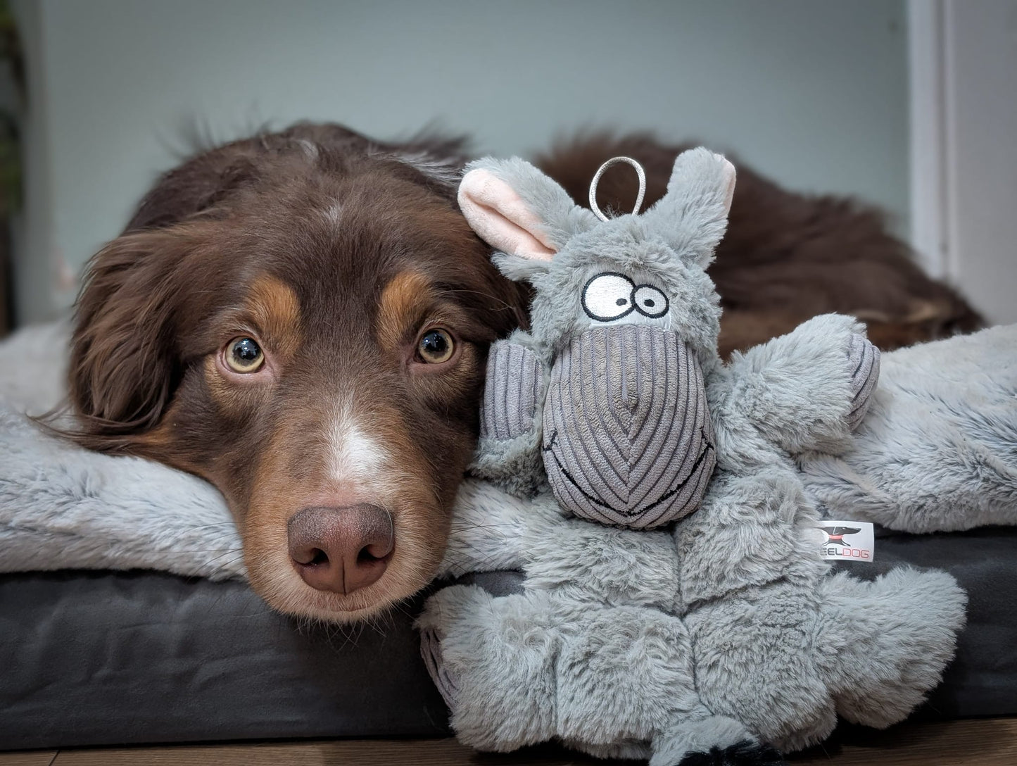 Barnyard Squeaky Toy