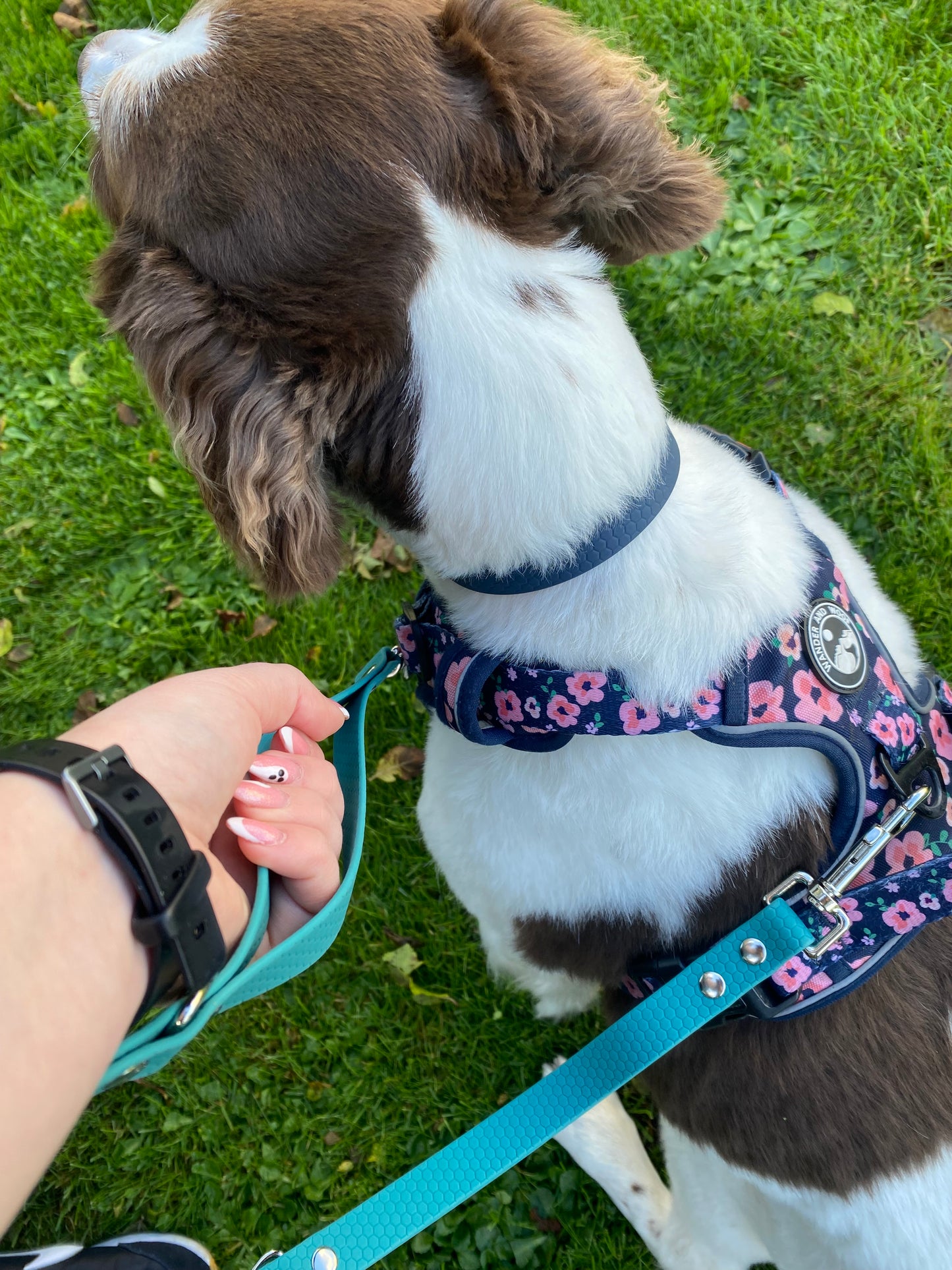 Mizz Pawz Multi-Way Lead