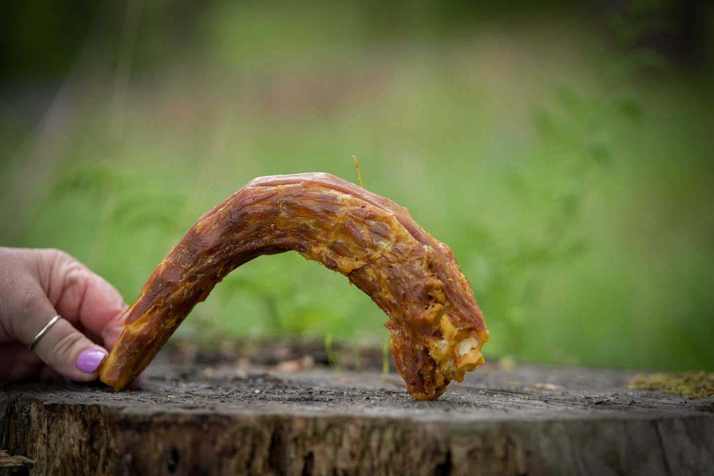 Turkey Neck