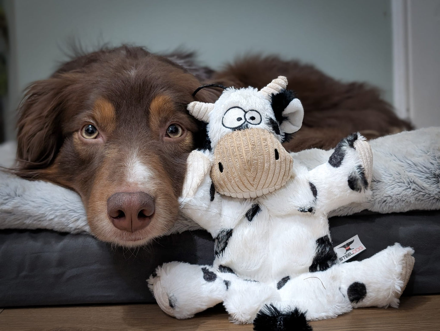 Barnyard Squeaky Toy