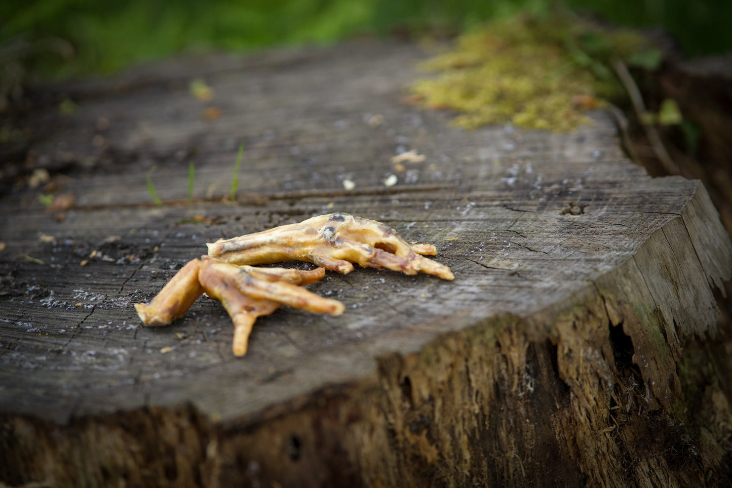Chicken Feet