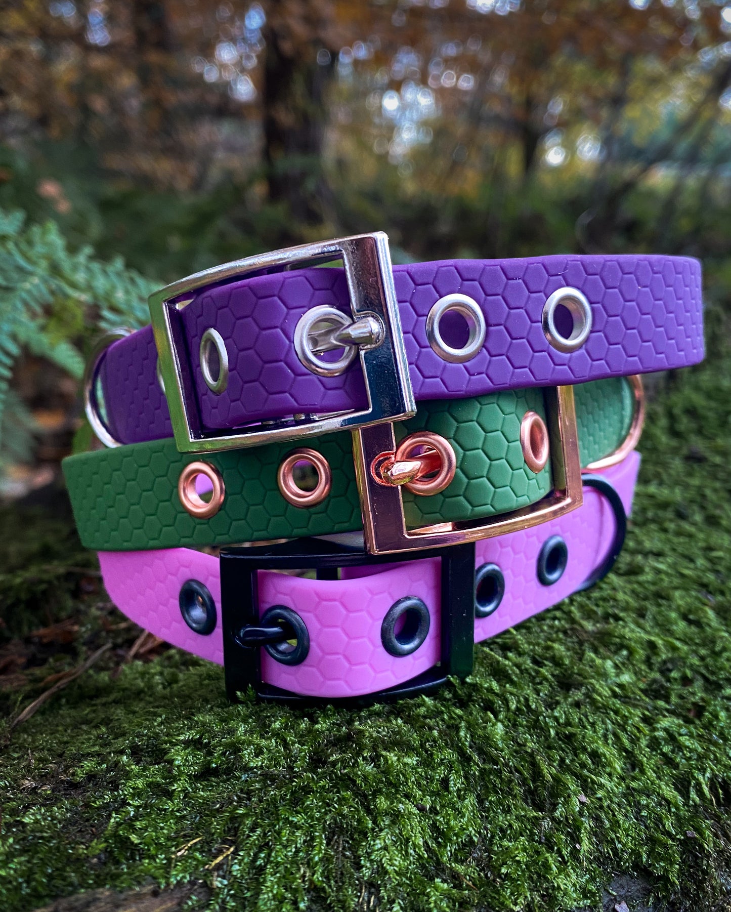 Mizz Pawz Collar and Lead Set