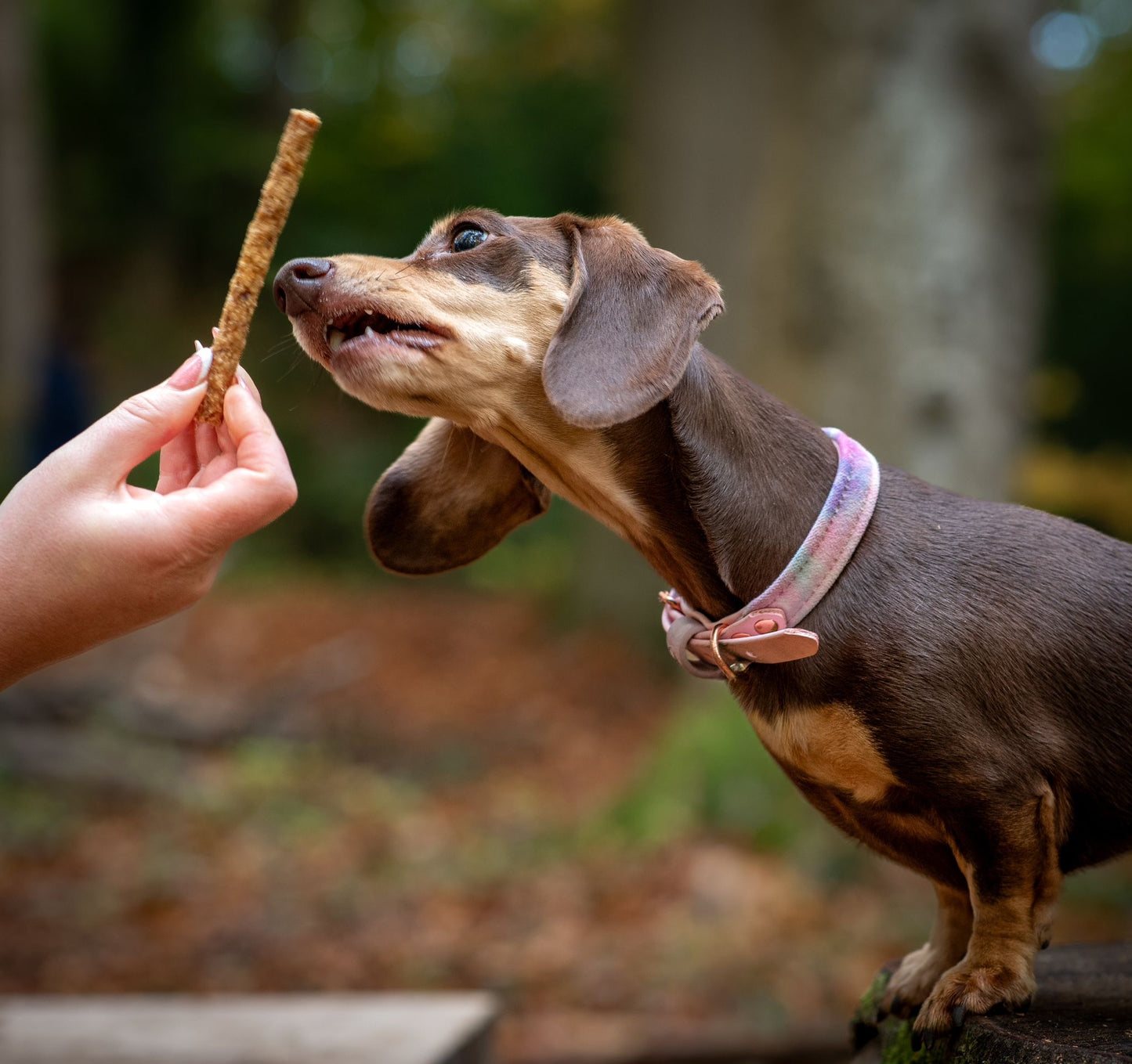 Mini Jerky Sticks