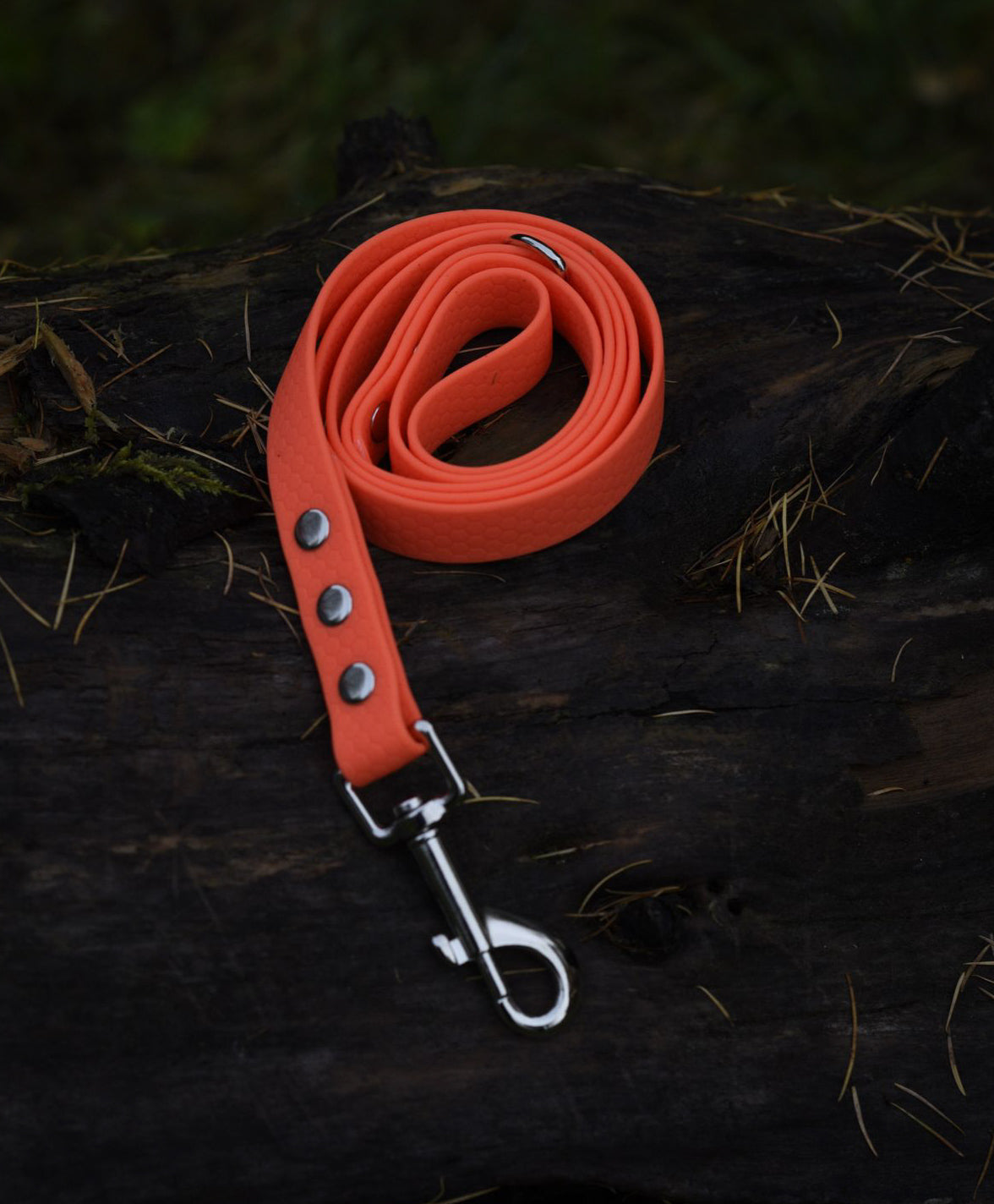 Hexa Webbing Leads