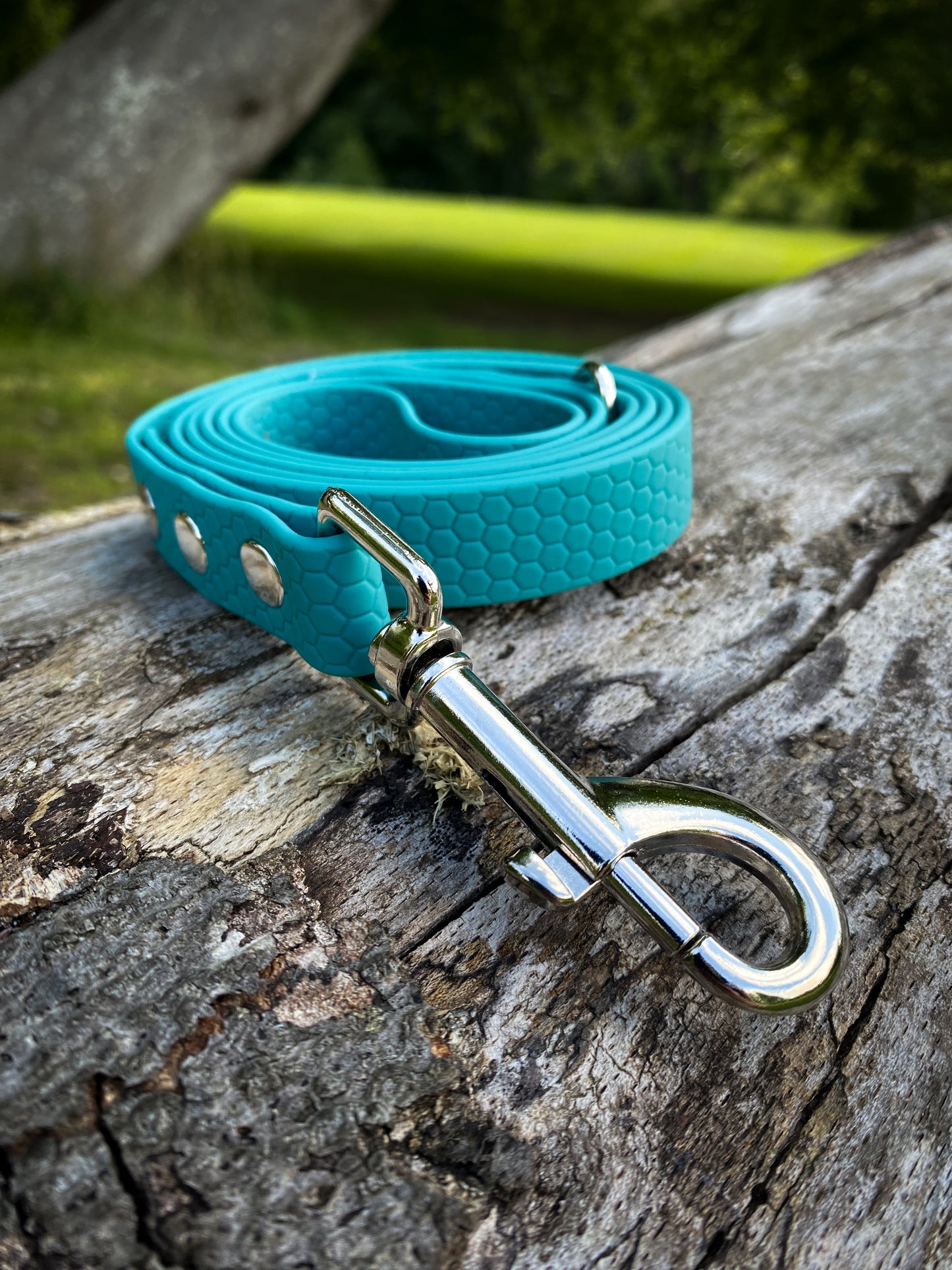Hexa Webbing Training Lines