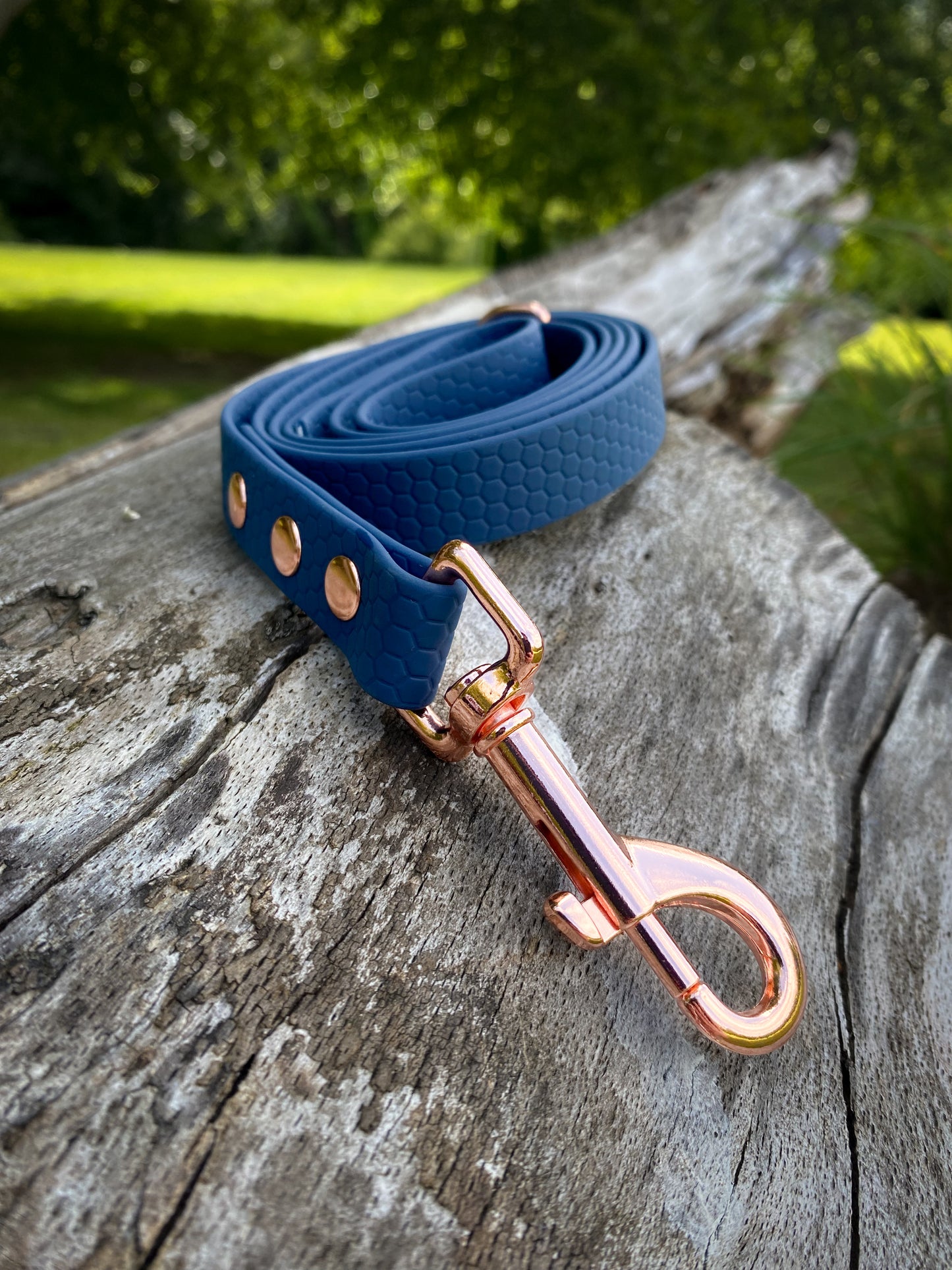 Hexa Webbing Training Lines