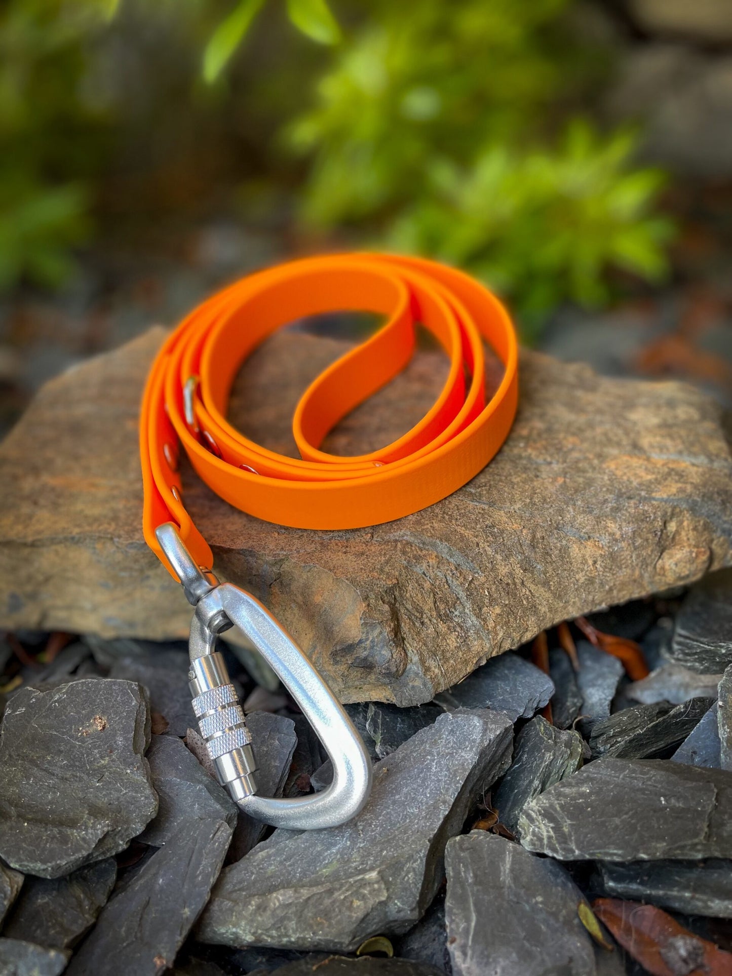 Carabiner Clip image 2