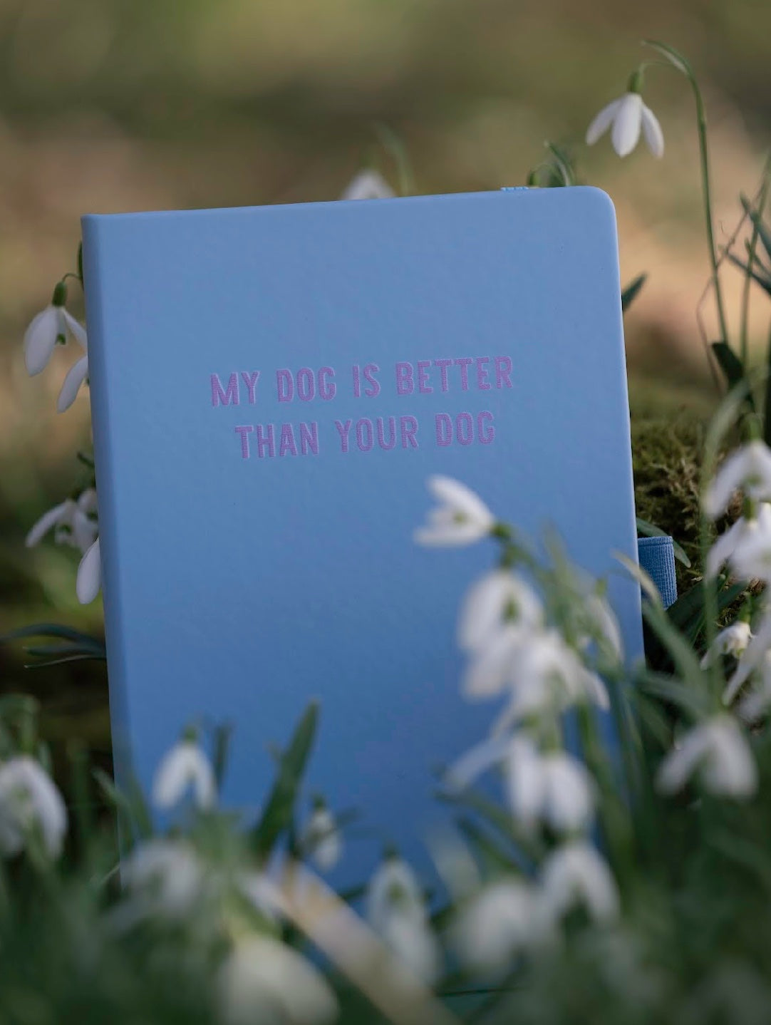 Notebook image 0